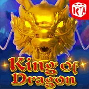 Hình ảnh hoàn trả hàng ngày Z8BET