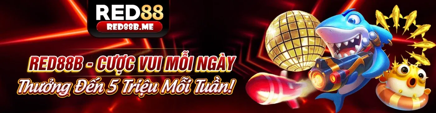 Đá Gà z8bet